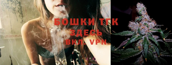 ГАЛЛЮЦИНОГЕННЫЕ ГРИБЫ Вязьма