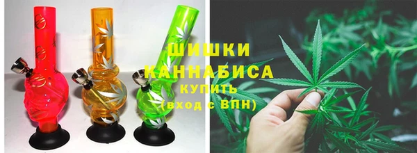 спайс Вяземский