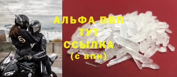 прущие грибы Вязники