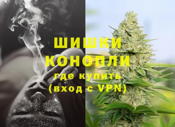 спайс Вяземский