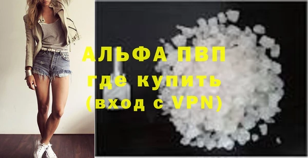 индика Горно-Алтайск