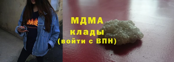 прущие грибы Вязники