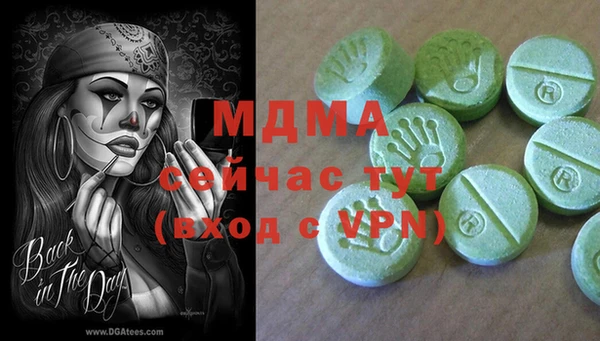 прущие грибы Вязники