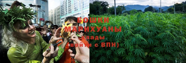 ГАЛЛЮЦИНОГЕННЫЕ ГРИБЫ Вязьма