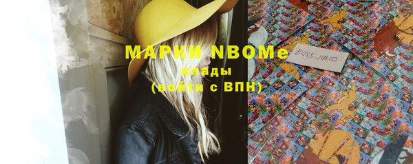 прущие грибы Вязники