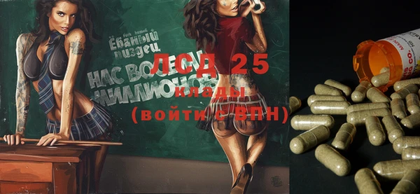 прущие грибы Вязники