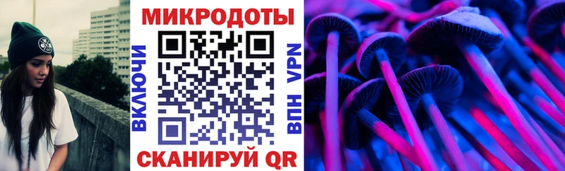 Псилоцибиновые грибы Psilocybe  сколько стоит  Зерноград 